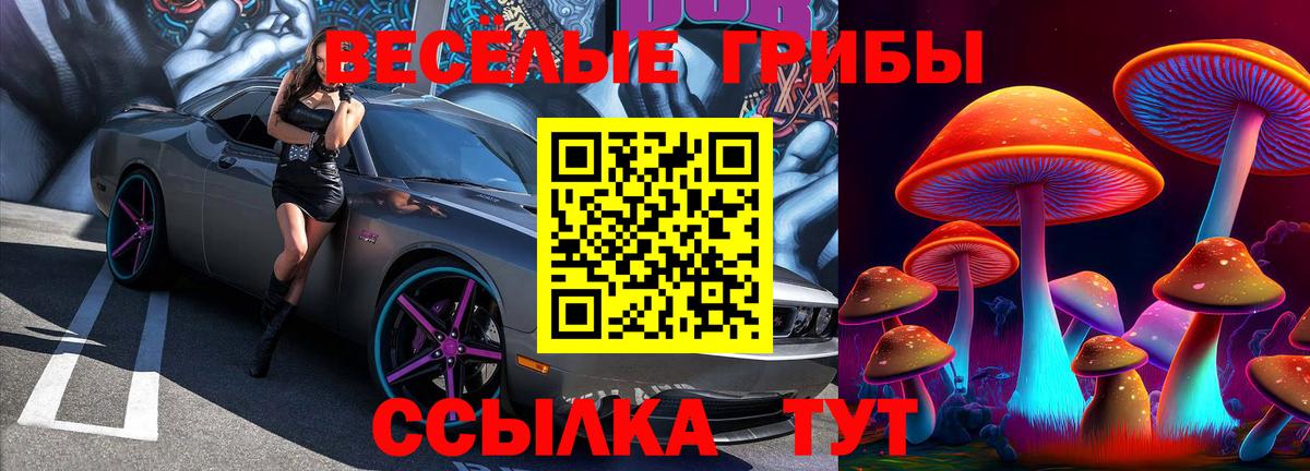 Псилоцибиновые грибы Magic Shrooms Зеленогорск