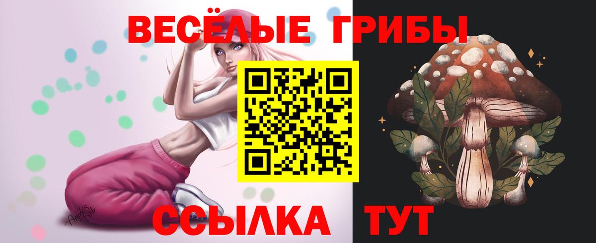 Зеленогорск  Галлюциногенные грибы Cubensis  Вход с VPN 