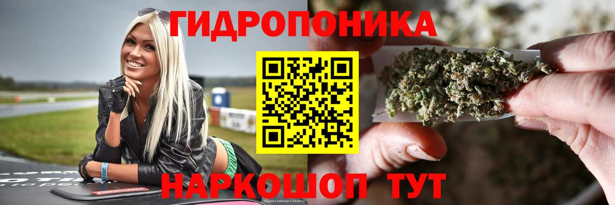 Каннабис Amnesia  Вход с VPN  Каннабис SATIVA & INDICA  Зеленогорск  МАРИХУАНА LSD WEED 